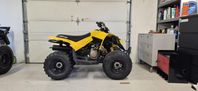 Can-am DS 90 Barnfyrhjuling