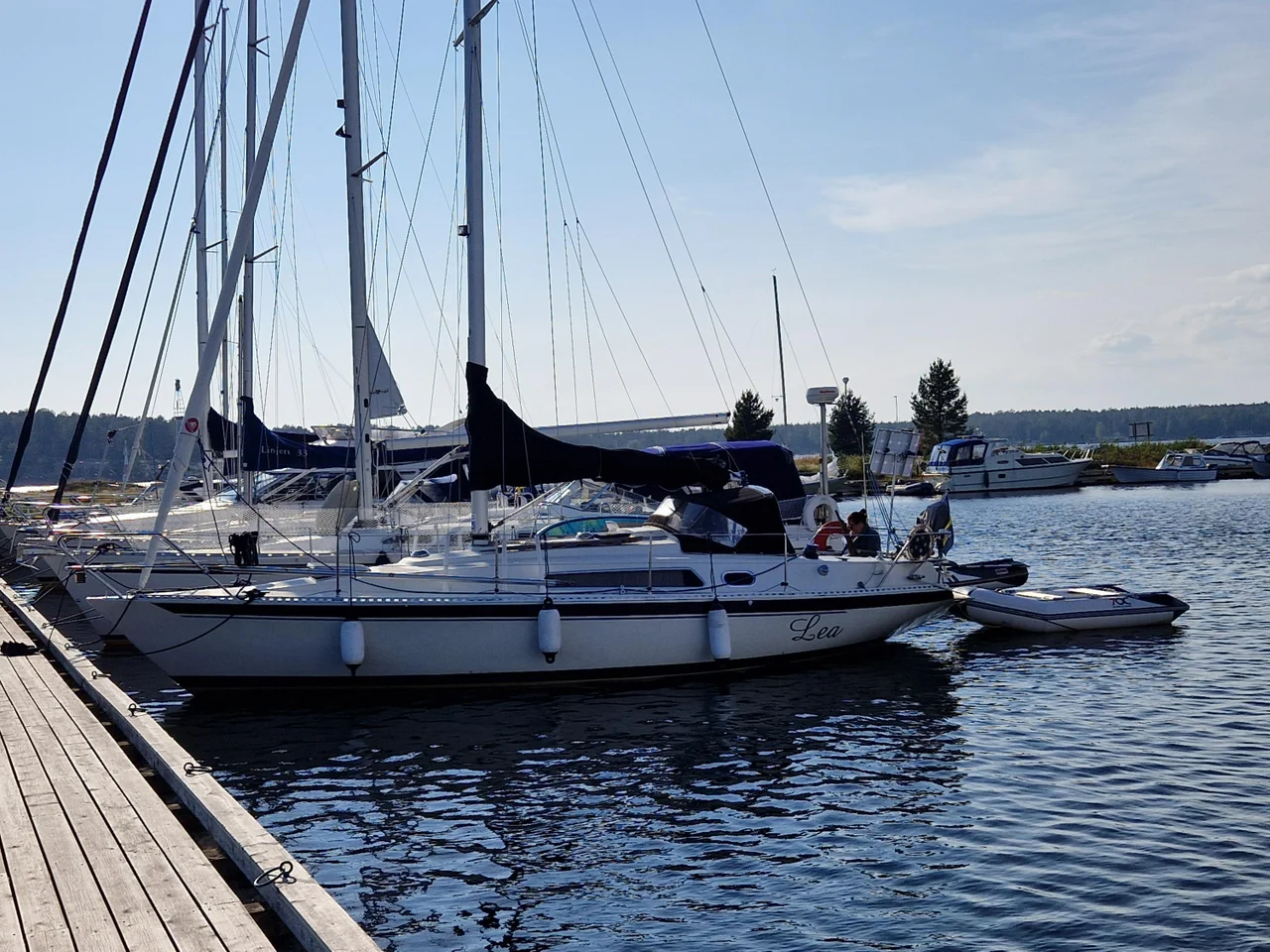 Beason 31 med VP D1-20 image