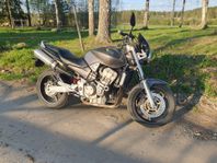 Honda 900 Hornet