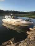 Sunseeker 36 martinique