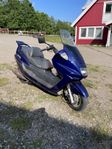 Scooter mc Lifan 224