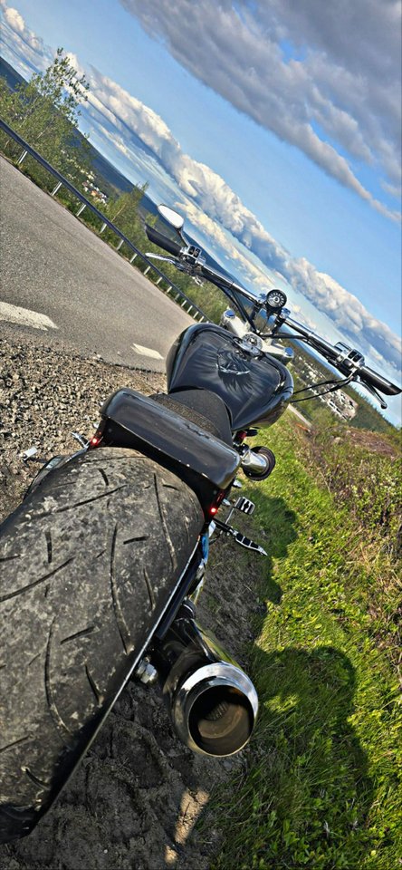 Harley Davidson Custom S&S 12...
