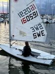 ILCA 6 / Laser radial
