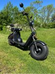 Fat bike