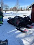 Arctic cat alpha hardcore 2020