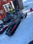 Arctic cat alpha hardcore 2020