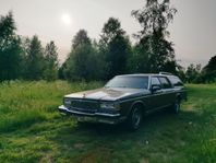 Chevrolet Caprice Classic Wagon 5.0 V8 Hydra-Matic
