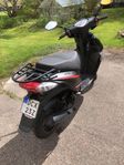 Moped MOTO CR T-Rex 50 4takt 2020