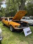 Ford Mustang mach1