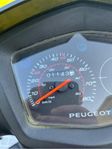 Peugeot kisbee
