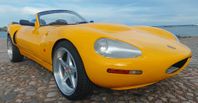 Ginetta G34