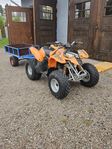 Polaris Predator 90 cc
