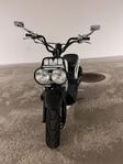 Honda Zoomer EU-moped