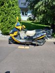 Eu-moped -06