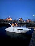 Scarani Cruiser 25