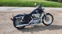 Harley Davidson Sportster XL883 Custom Nybes