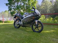 Aprilia rs50 