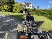 Trike Chopper 
