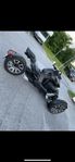Can-Am Ryker Rally 900
