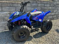 Ten 7 barn ATV 90cc