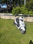 Viarelli Enzo 45km/h