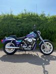 Harley Fxrs