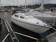 Daimio 23