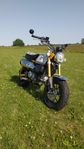 Honda Monkey 125cc 2024 – Stilren & uppgraderad!
