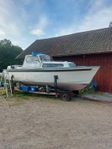 albin 25
