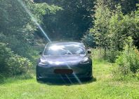 Unik Tesla Model 3 Long Range AWD 440HK