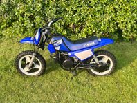 Yamaha PW50