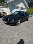 Ford Mustang Cab. 2007