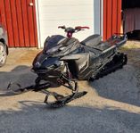 Lynx Boondocker 850 DS 2019