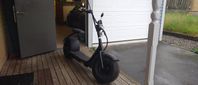 Elscooter Fatboy 1000W