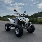 Yamaha Raptor 350 -05 