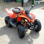 Can-Am DS 90