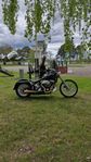 Harley davidson softail evo 91 ev byte