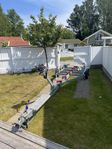 TK-trailer BV 2000 30km/h