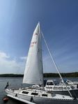 Rival22 Swe210-82
