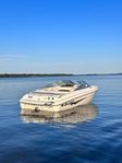 Larson Sei 190 Volvo Penta V6