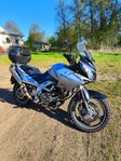 Suzuki DL 650 V-strom