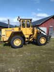 Volvo LM4300  81 års
