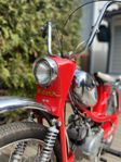 Rex sport -67 moped