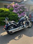 Kawasaki VN2000 Nybesiktigad 