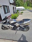 Kawasaki ZX-10R, ev bytes X-Max