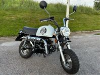 Skyteam Skybongo 50 (EU moped 45km/h)
