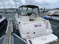 Sea Ray Sundancer 260