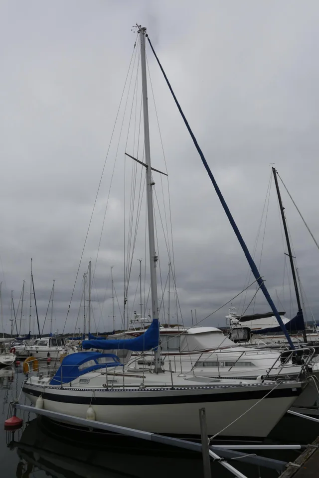 Segelbåt Forgus 31 image