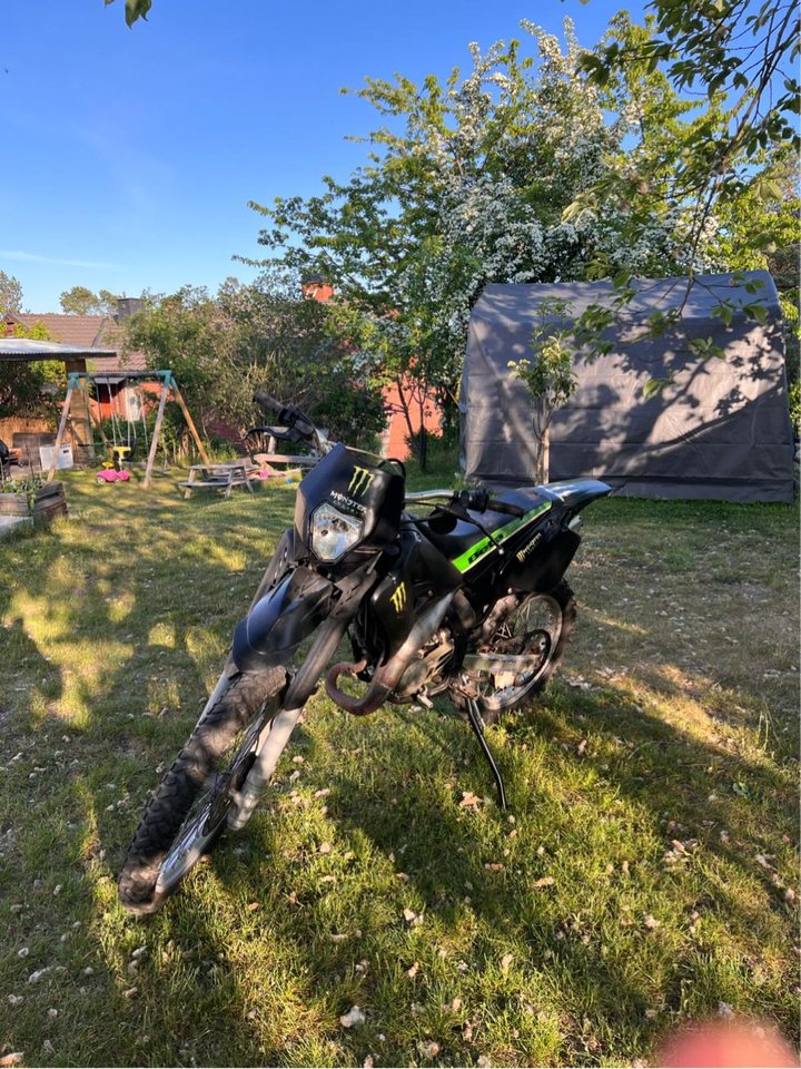 Beta rr 50