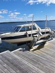Yamarin 5800 Big catch